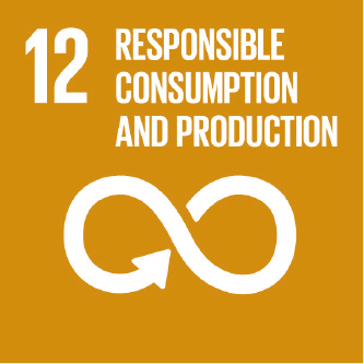 12 - Responsible consumption and production